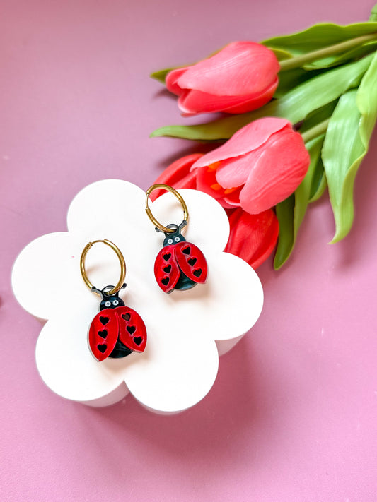 Créoles interchangeables Coccinelle