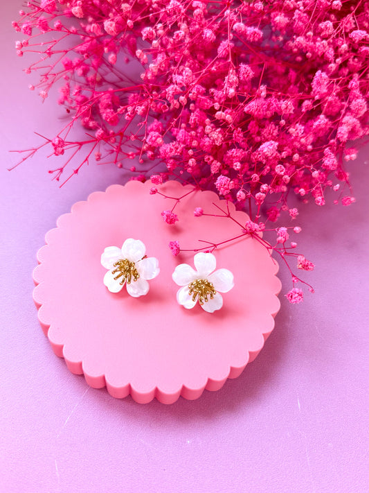 Puces d’Oreilles Magnolia